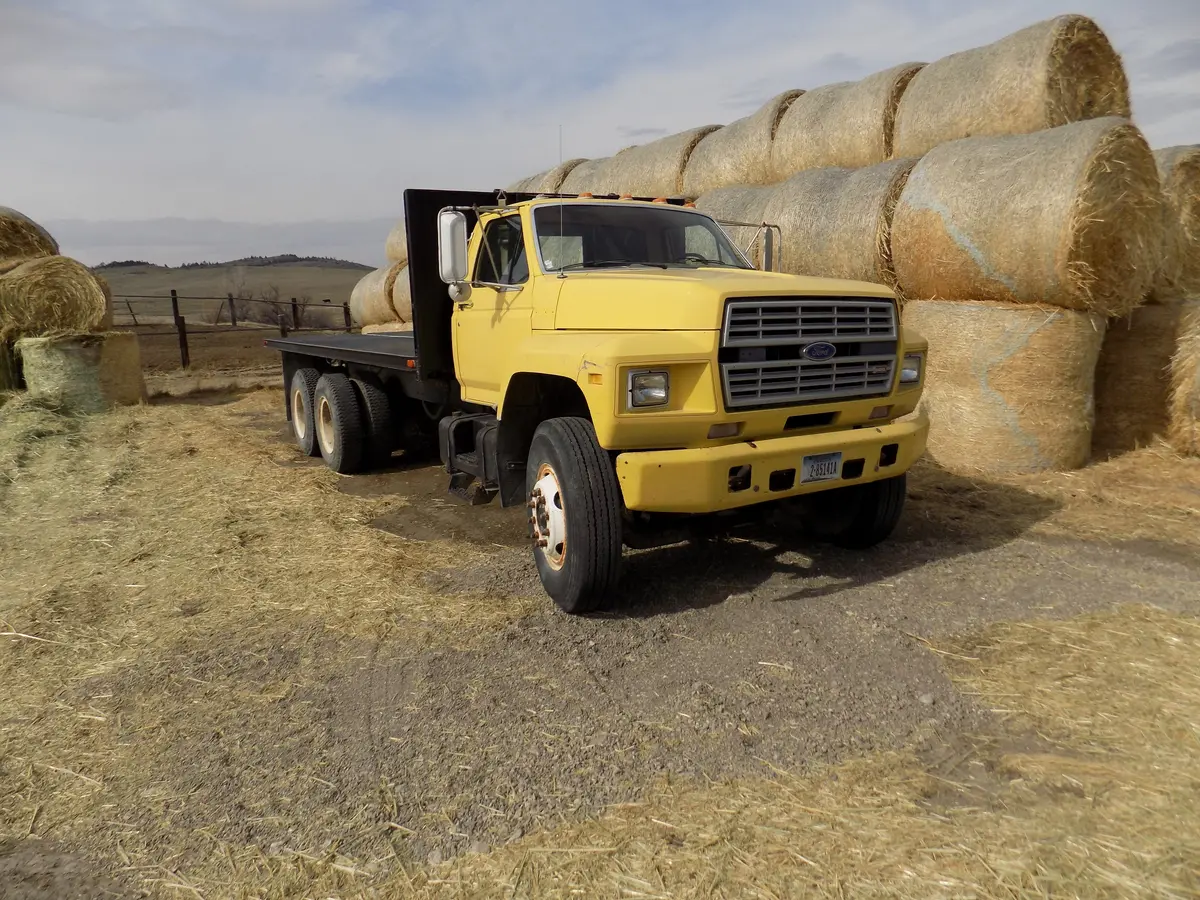 87 Ford  Tandem 1