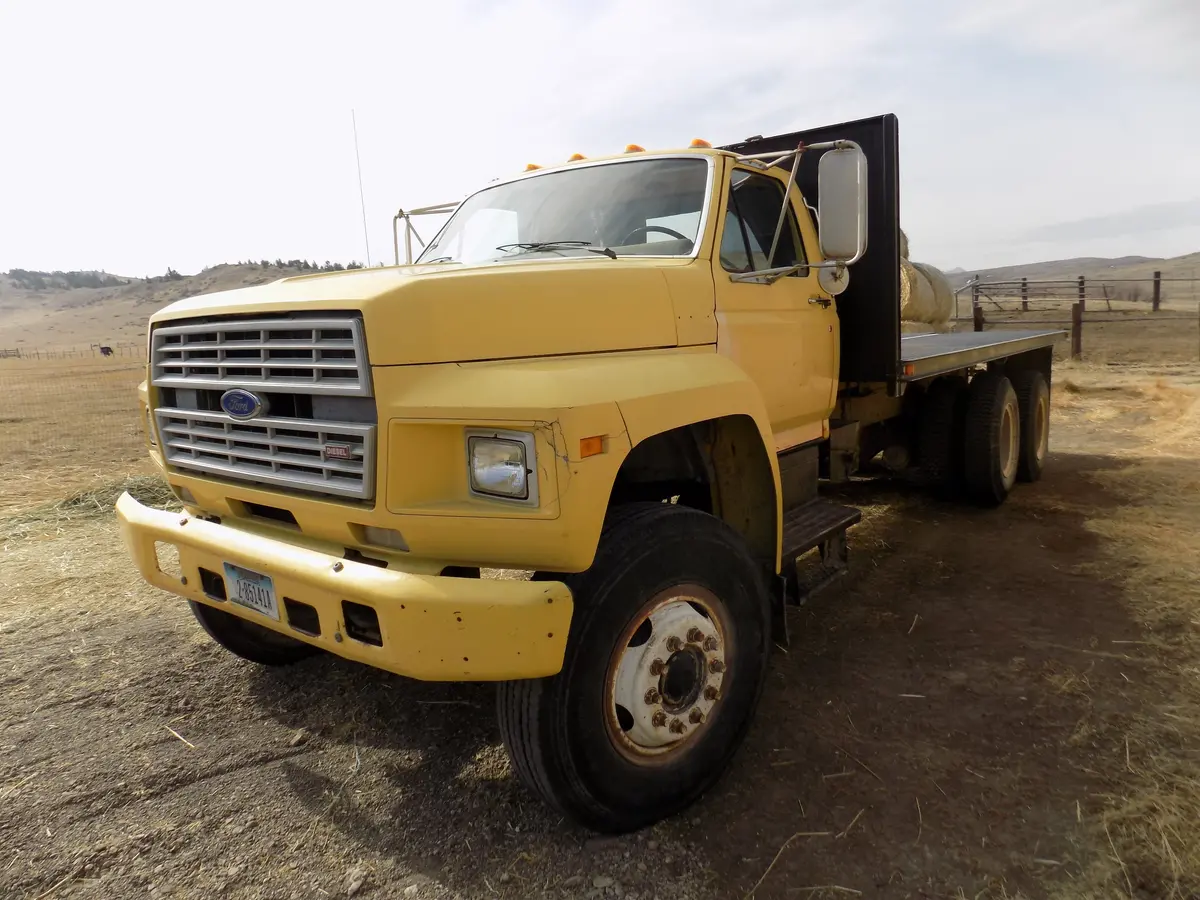 Ford Flat Bed Tandem 1