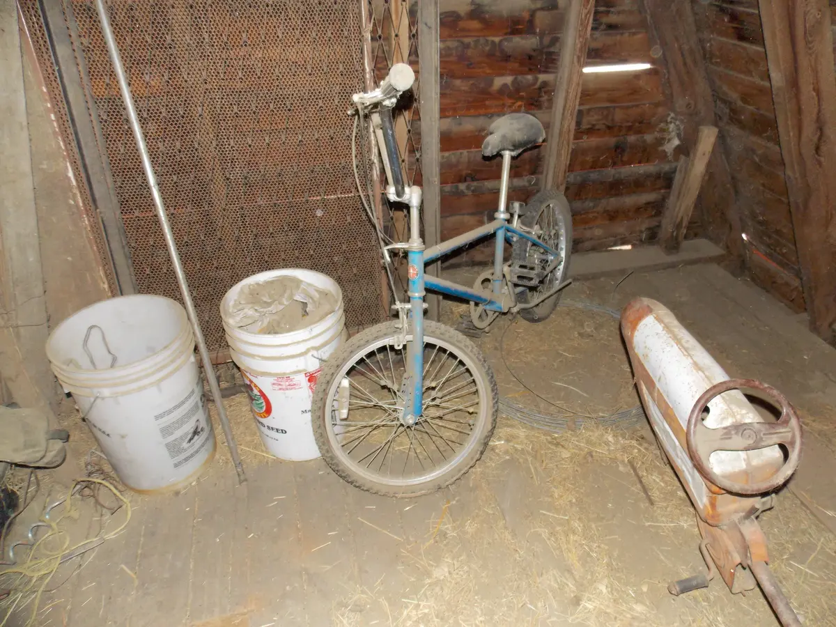 Collectible Bike 1