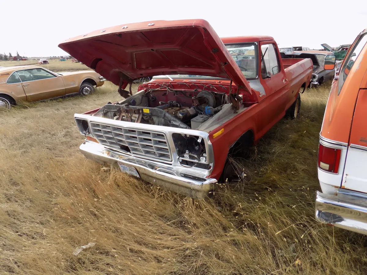 Ford 2 Wh Drive   And 4X4 Pickups 1