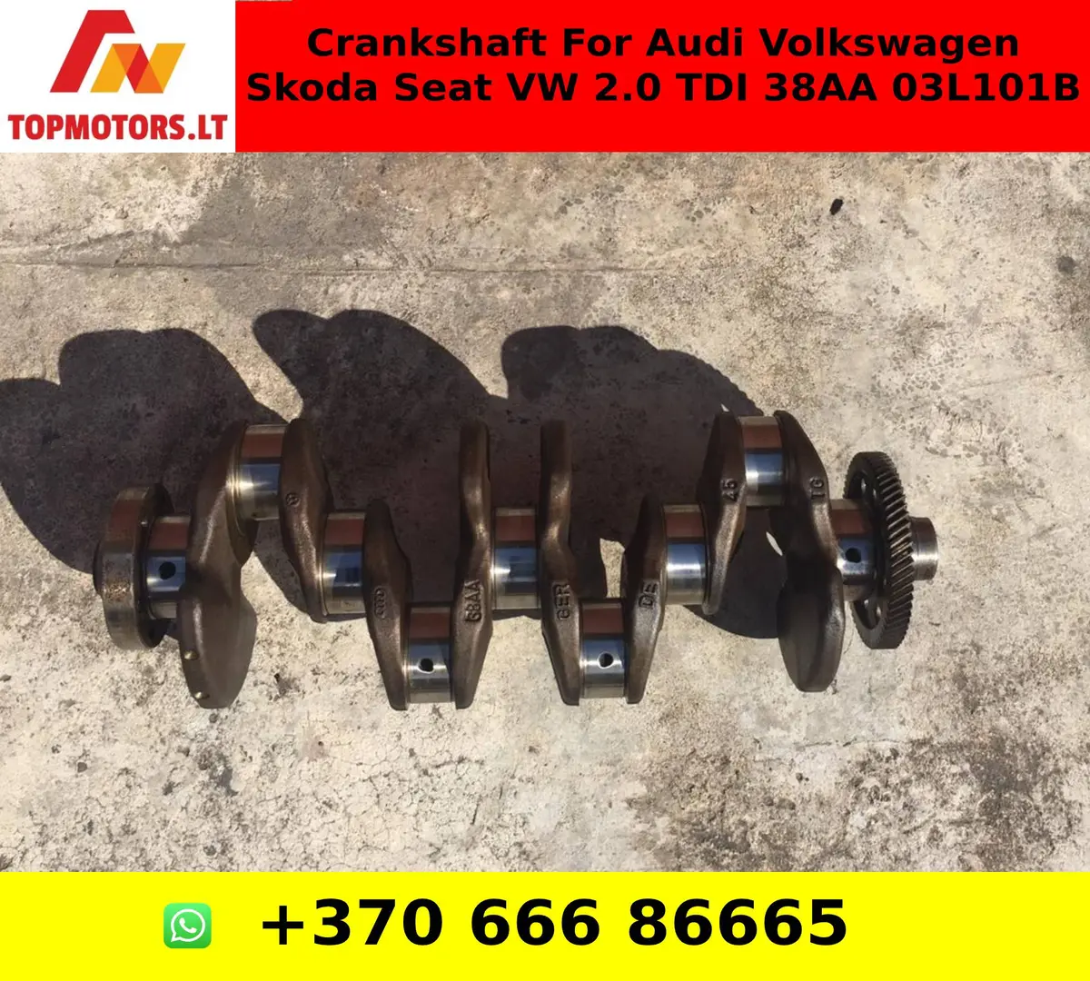 Crankshaft For Audi Volkswagen Skoda  Seat Vw 2.0 Tdi 38Aa 03L101b 1