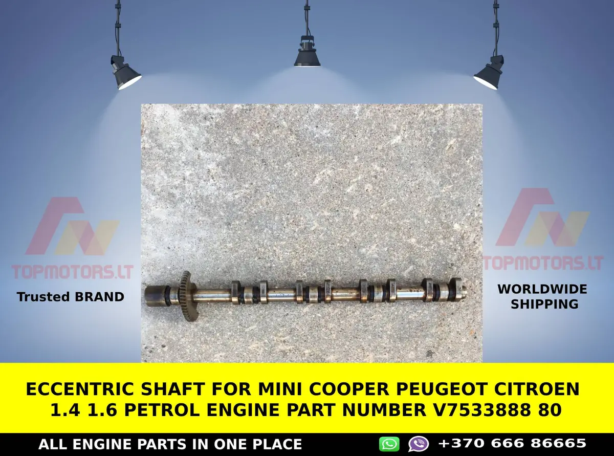 Eccentric Shaft For Mini Cooper Peugeot Citroen 1.4 1.6 Petrol Engine Part Number V7533888 80 1