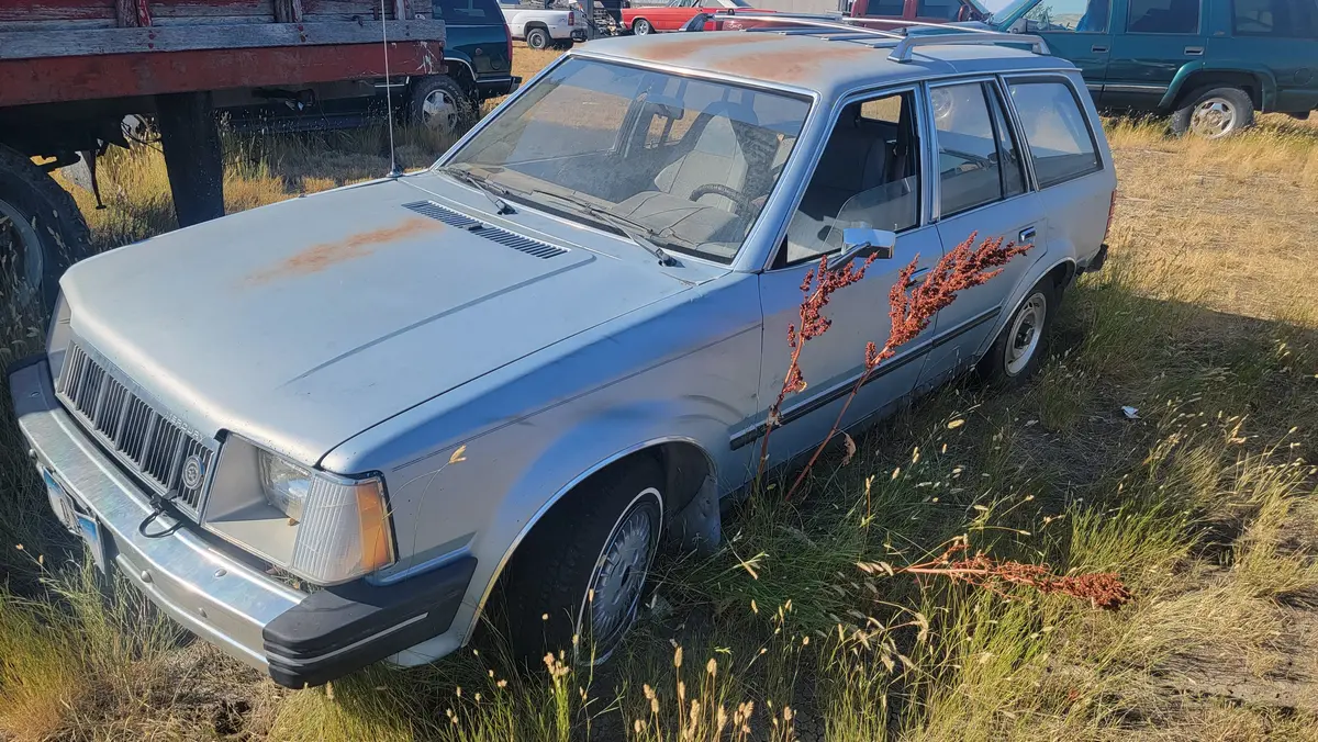 84 Plymouth Hrizon 1