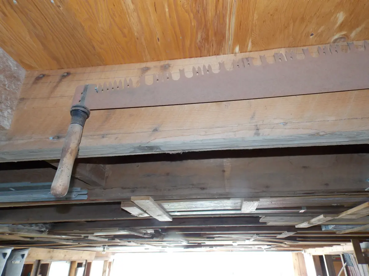 Vintage Crosscut Saws 1