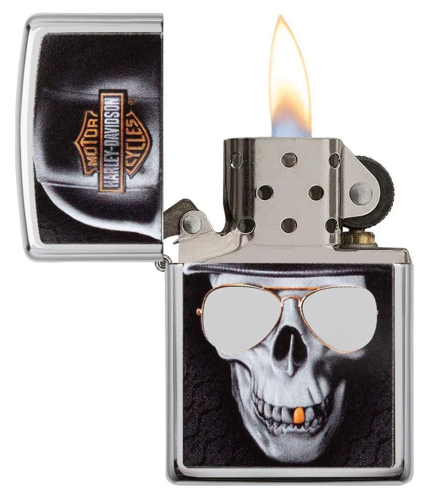 Harley-Davidson® 2