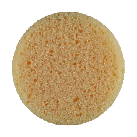 Tire Dressing Sponge 1