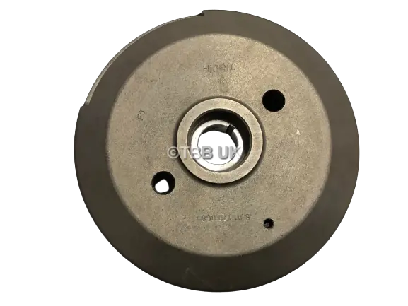 Hidria Sherco / Scorpa Flywheel Magneto 1
