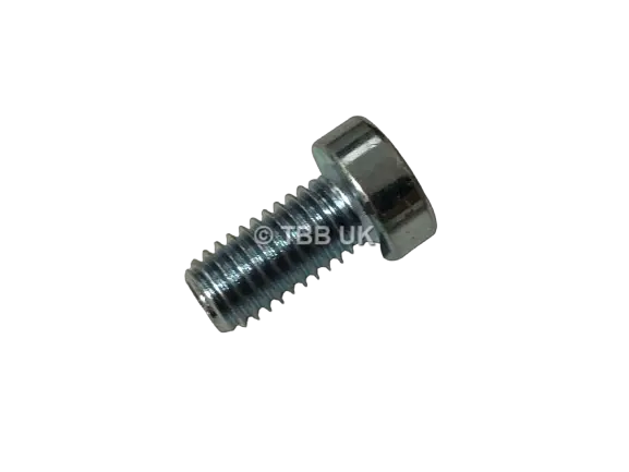 Tech Lower Fork Pinch Bolt Screw Bzp 1