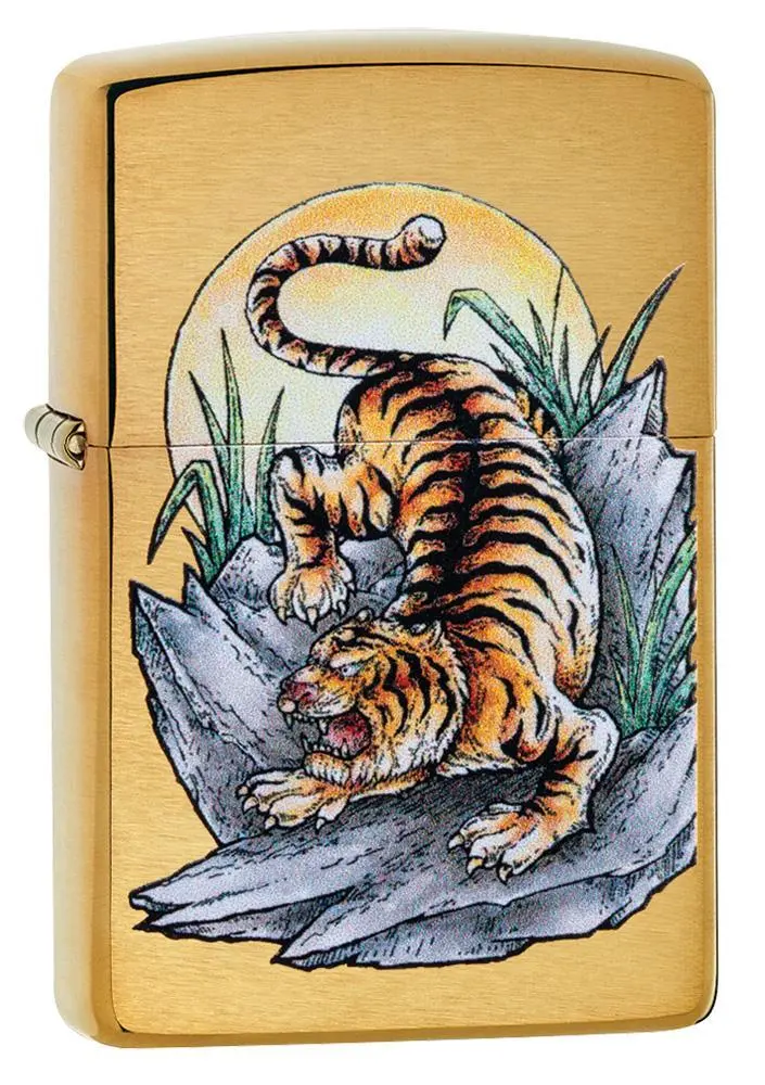 Tiger Tattoo Design 1