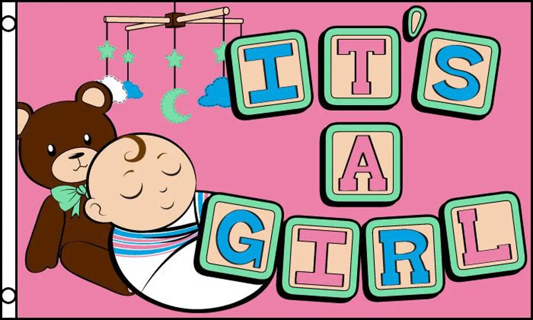 Teddy Bear Its A Baby Girl (3Ft X 5Ft) Flag 1
