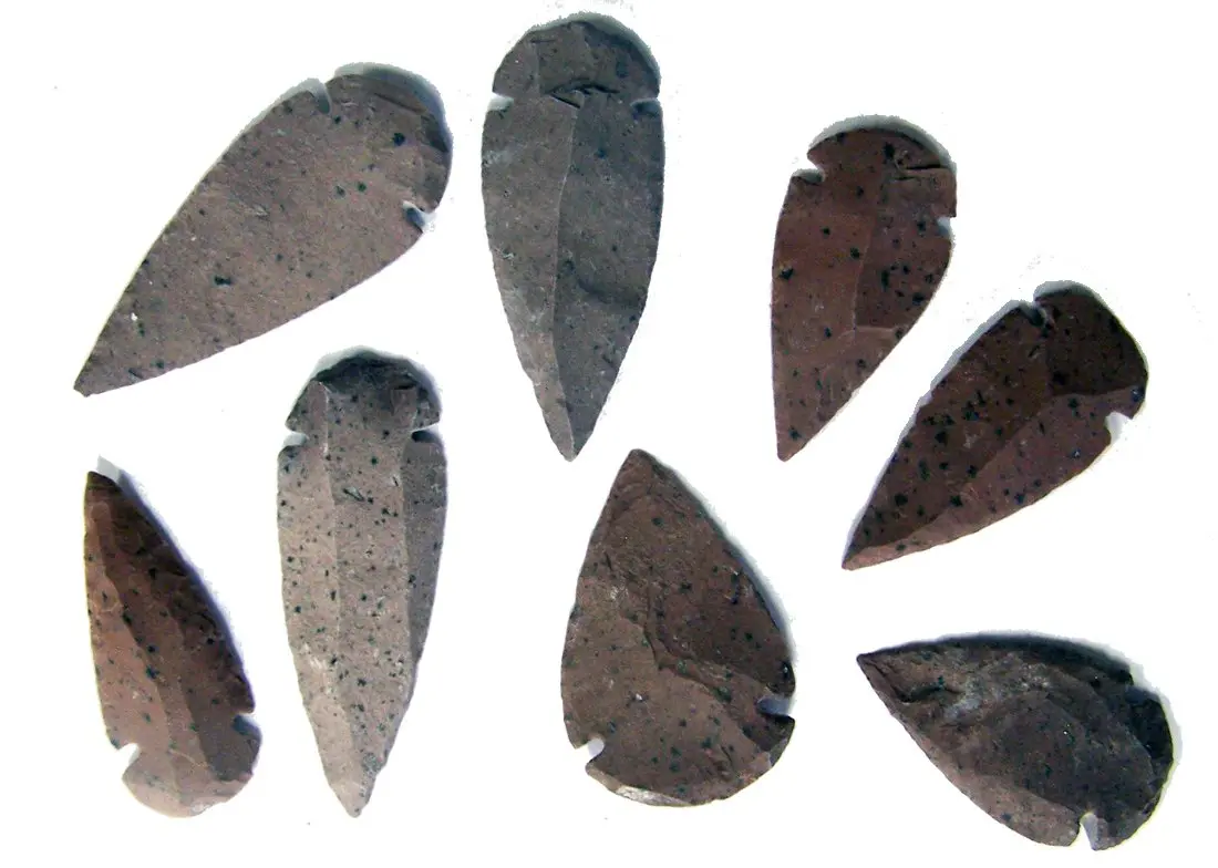 Hickoryite Stone Large 2 To 3 Inch Arrowheads 1