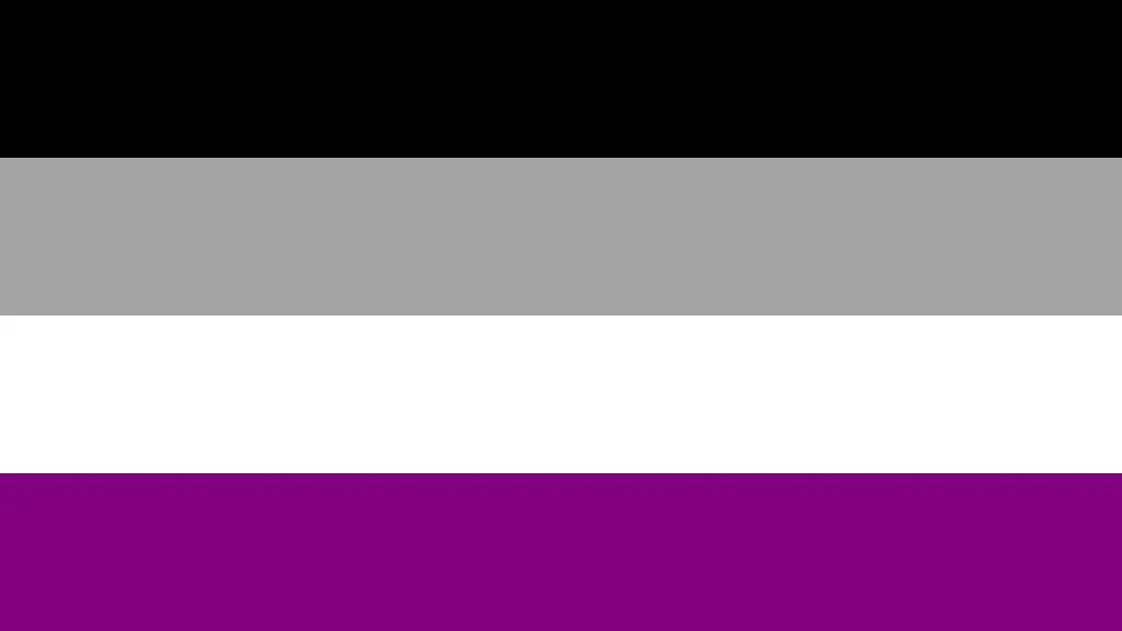Asexual Rainbow Pride (3Ft X 5Ft) Flag 1