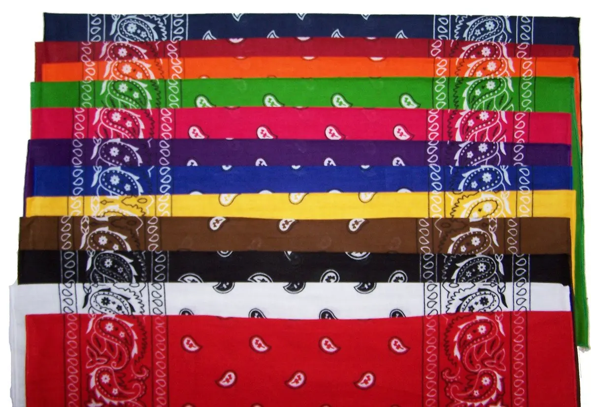 Assorted Paisley Colored Bandanna 1