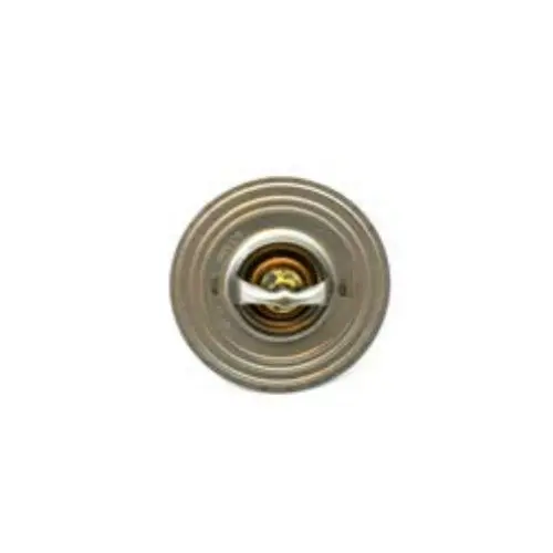 New 251 Thermostat - Cc1552902 1