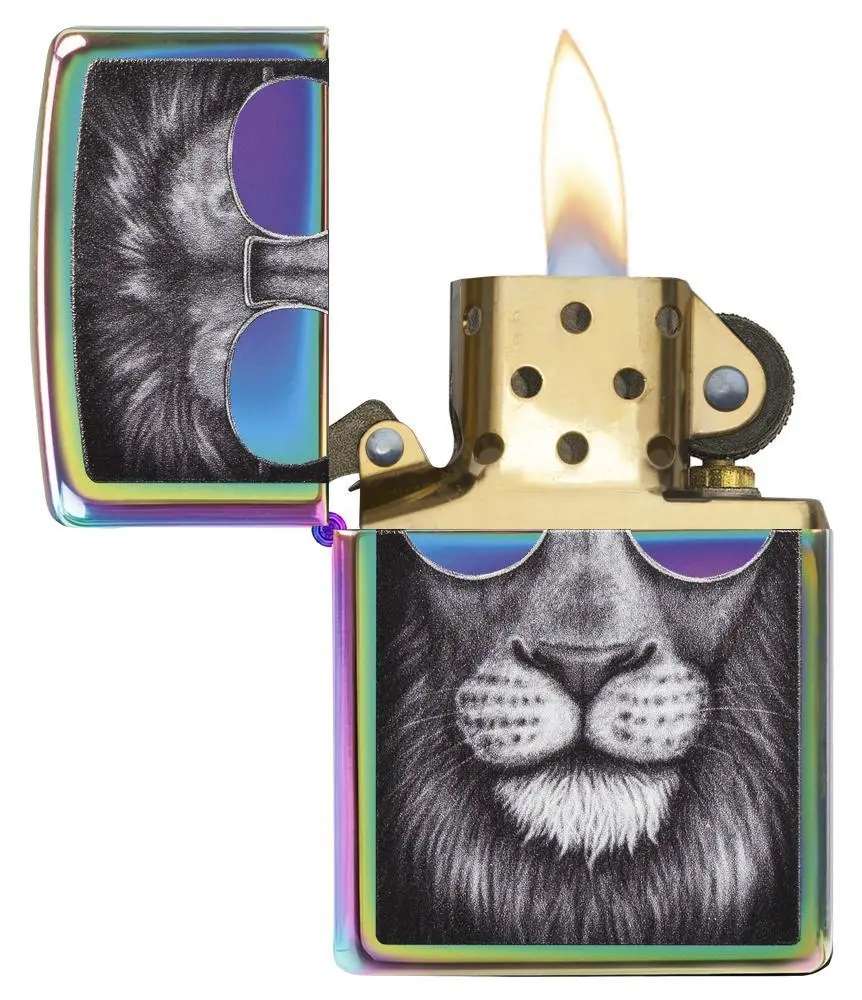Lion In Sunglasses 2