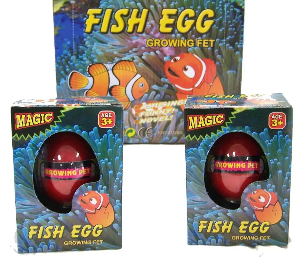 Hatch Em Growing  Clown Fish Eggs 1