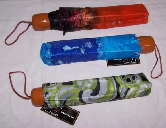 Portable Compact Umbrella 1