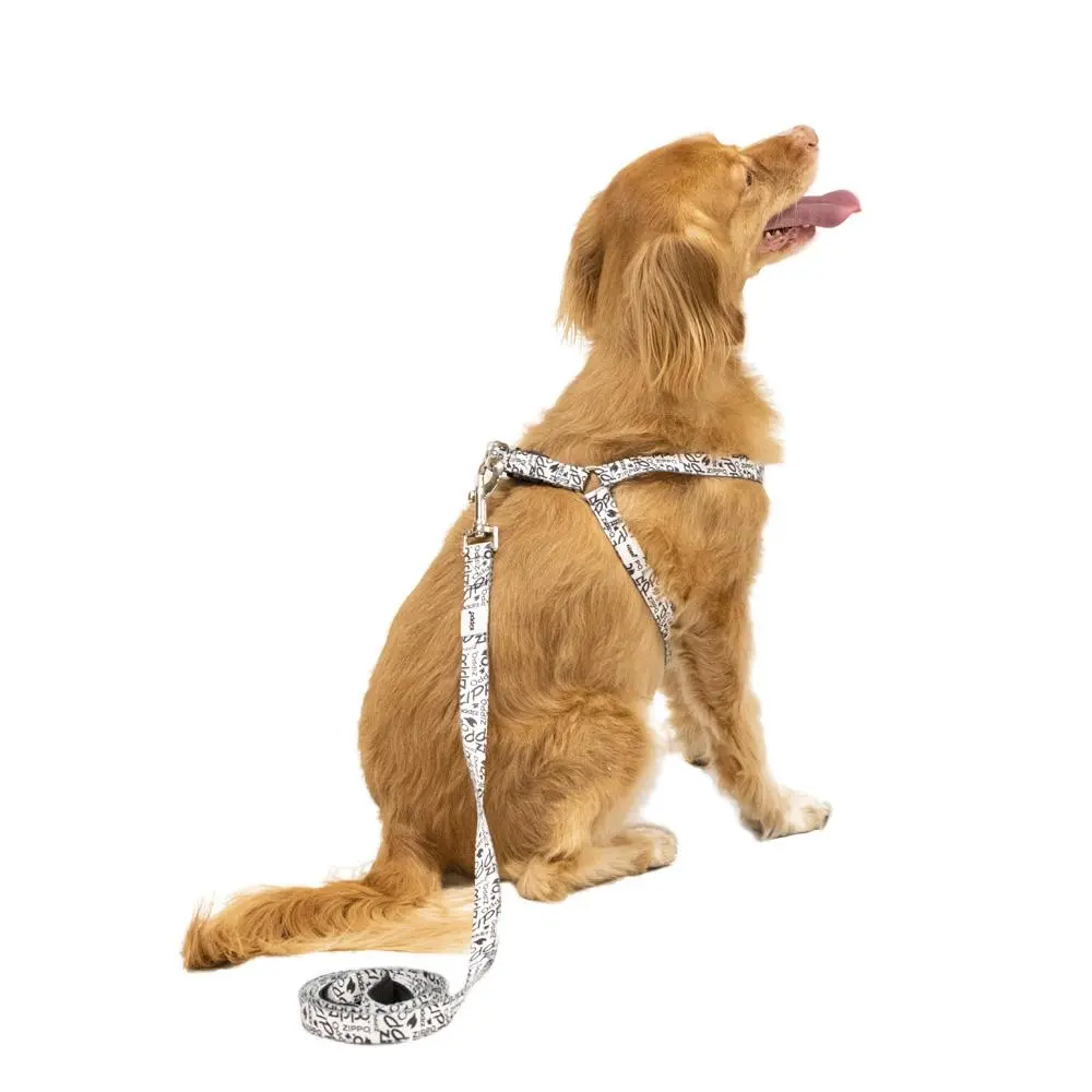 White Pet Leash 1