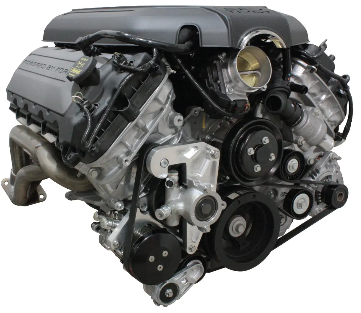 Coyote Serpentine Drive W/Ac And Power Steering 1