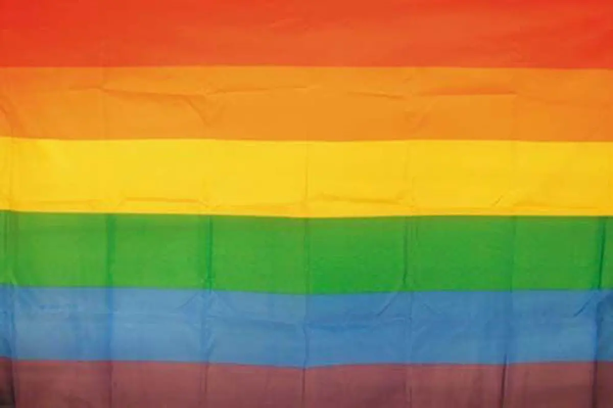 Rainbow Strips (3Ft X 5Ft) Flag - 1
