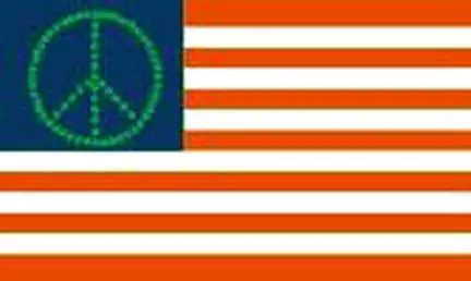 Usa Peace Pot Flag 1