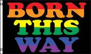 Rainbow Born This Way (3Ft X 5Ft) Flag 1