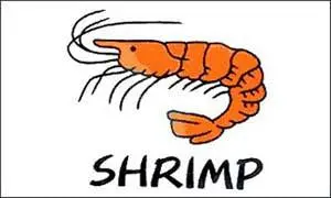 Shrimp White (3Ft X 5Ft) Flag 1