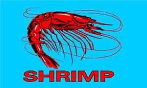 Shrimp Blue (3Ft X 5Ft) Flag 1