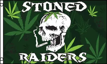 Stoned Raiders Skull Pot Leaf 3X5 Flag 1