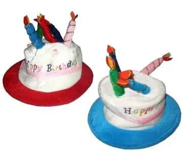 Birthday Cake And Candle Party Hat 1
