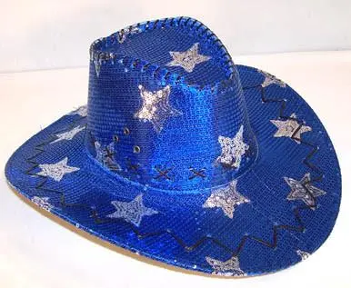 Blue Star Sequin Cowboy Hat 1