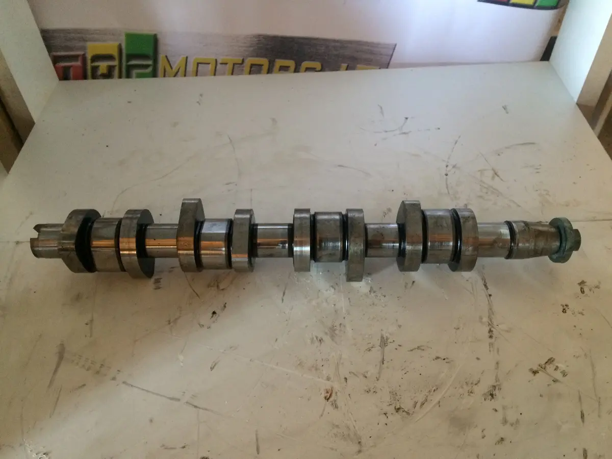 2004 Auy Volkswagen Vw 1.9 Tdi Diesel Engine Camshaft 1