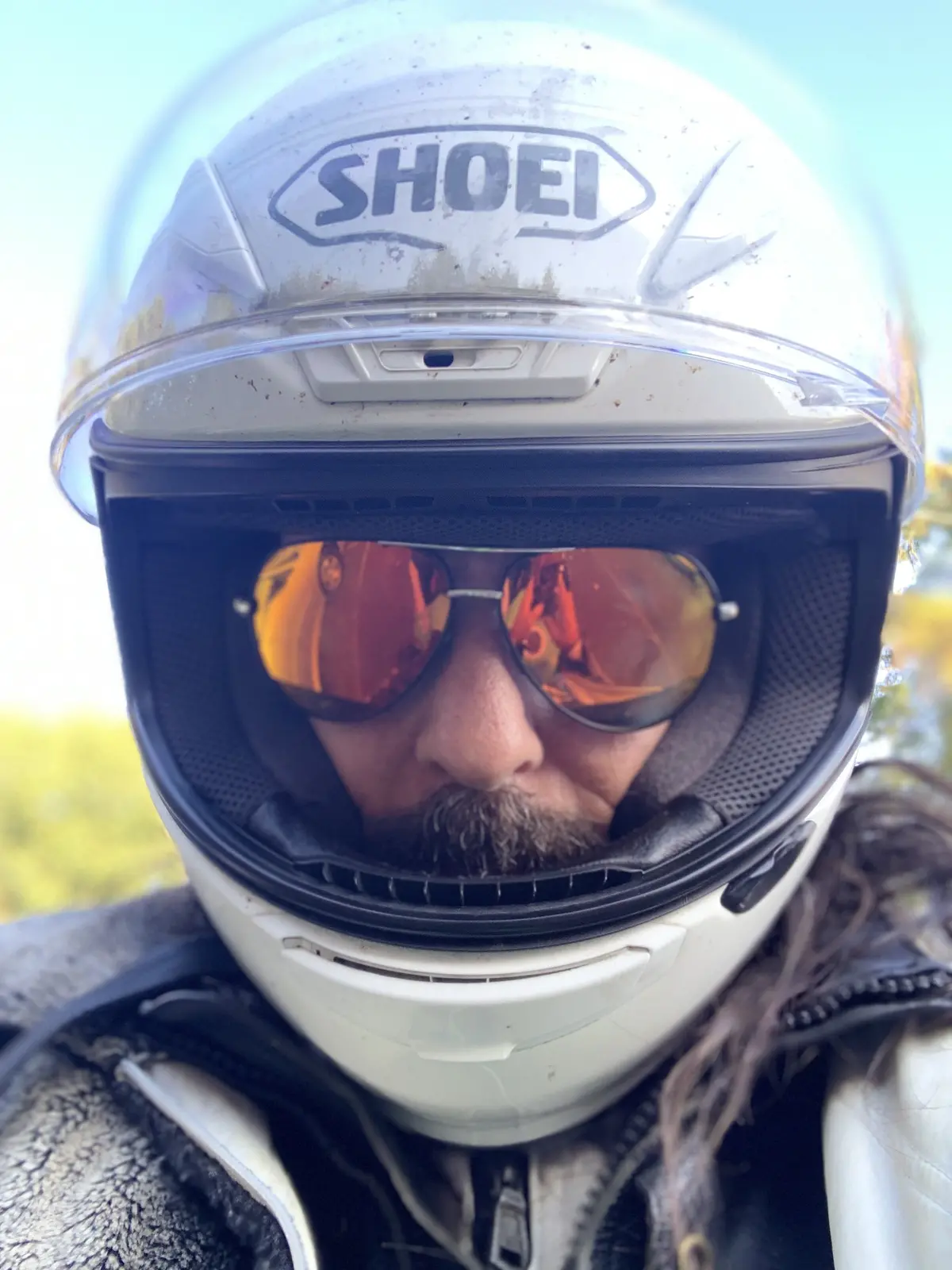 Best Damn Riding Sunglasses 4