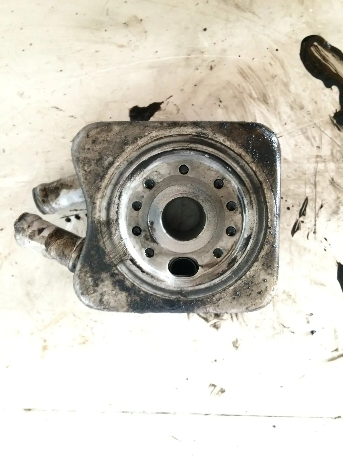 2006 Bkc Bxe Audi Volkswagen Skoda Seat 1.9 Tdi Pd Diesel Engine Oil Cooler 028117021L 1