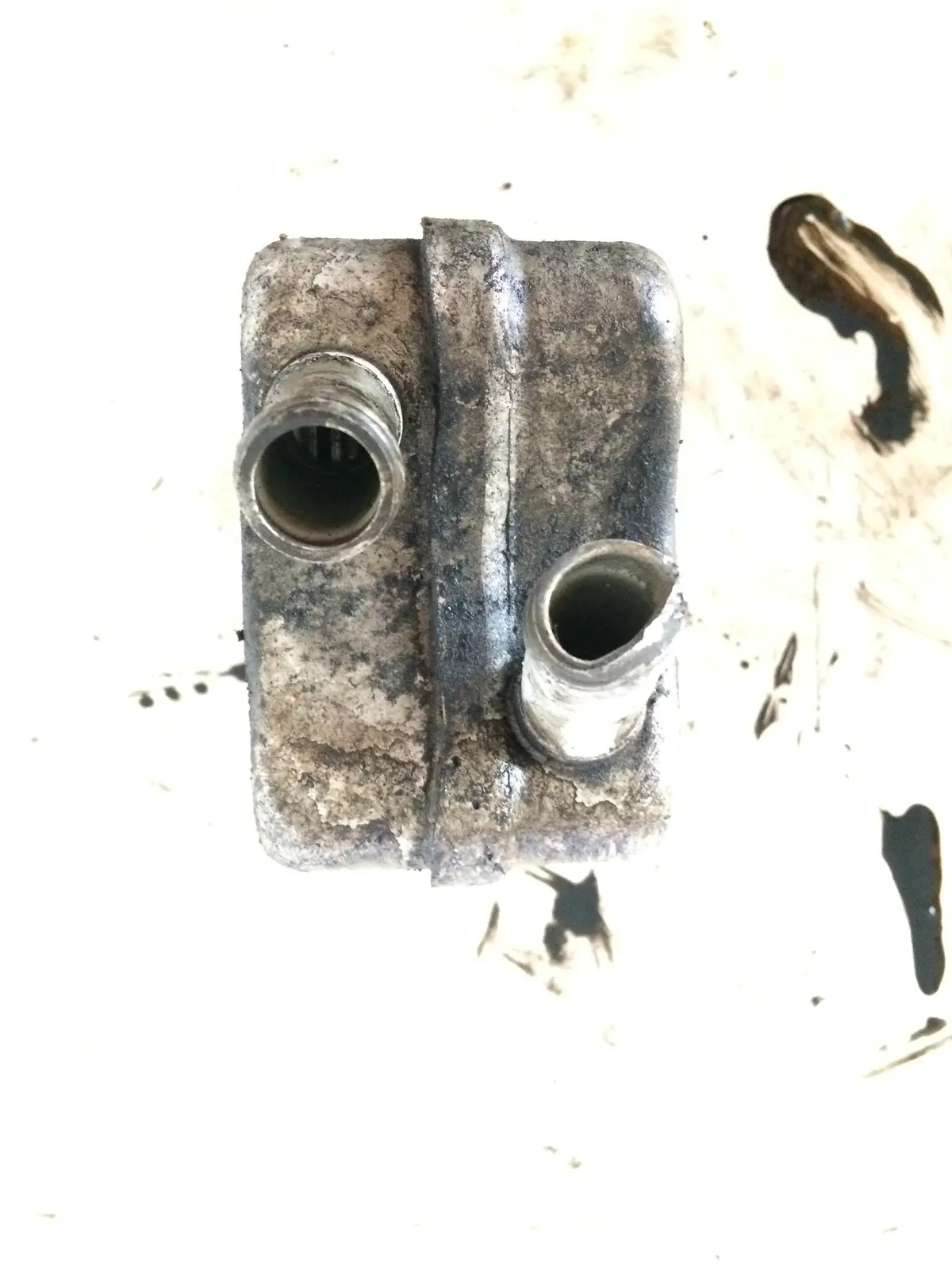 2006 Bkc Bxe Audi Volkswagen Skoda Seat 1.9 Tdi Pd Diesel Engine Oil Cooler 028117021L 2