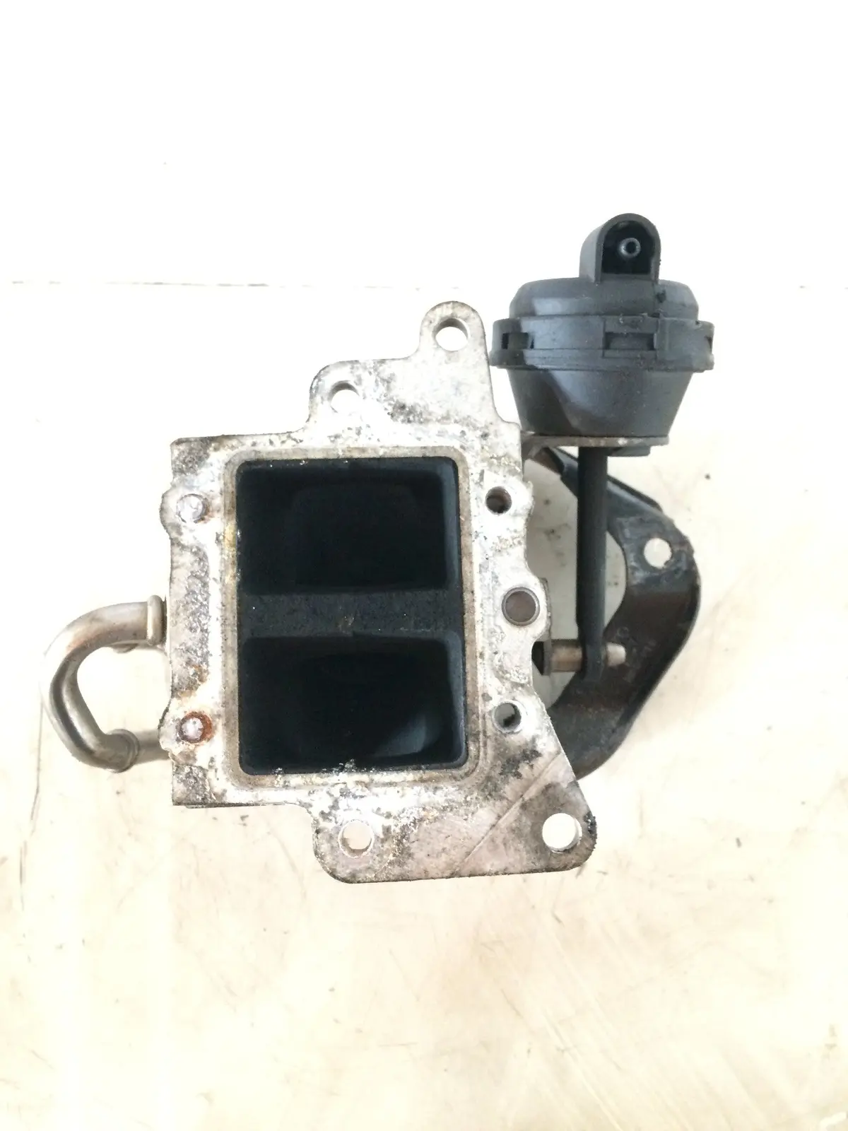 2006 Bkc Bxe Audi Volkswagen Skoda Seat 1.9 Tdi Pd Diesel Engine Egr 038129811B 1