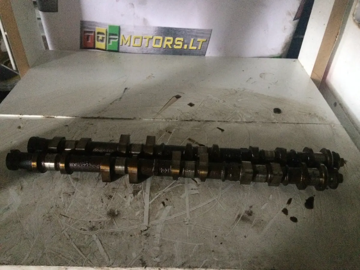2004 Csdb Ford 1.8 16V Benzinas Variklio Velenėliai 1