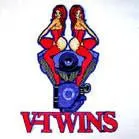 Jumbo 10 Inch Embroidered Patch V Twin Girls 1