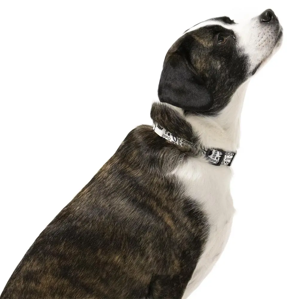 White Nylon Pet Collar 1