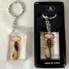 Real Scorpion Acrylic Key Chain 1
