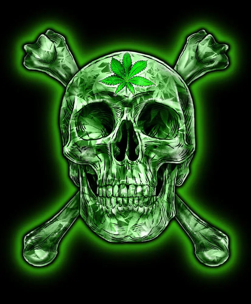 Green Skull And Cross Bone Pot Leaf Tee Shirt 1