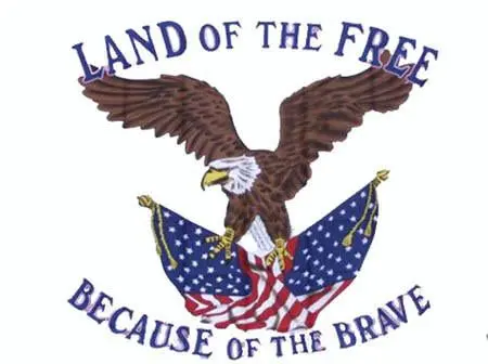 Land Of The Free Because Of The Brave (3Ft X 5Ft) Flag 1
