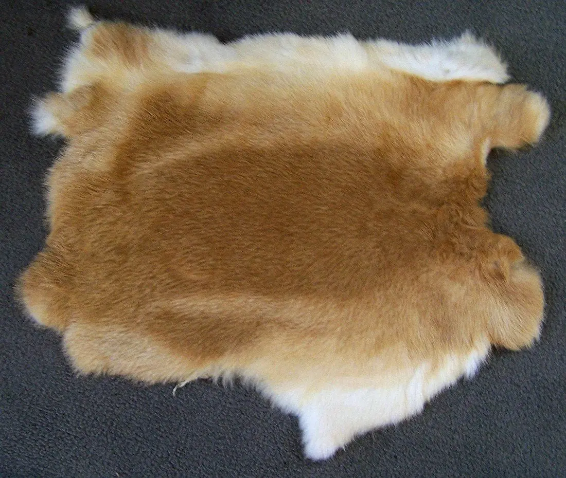 Light Brown Natural Rabbit Skin Pelt 1