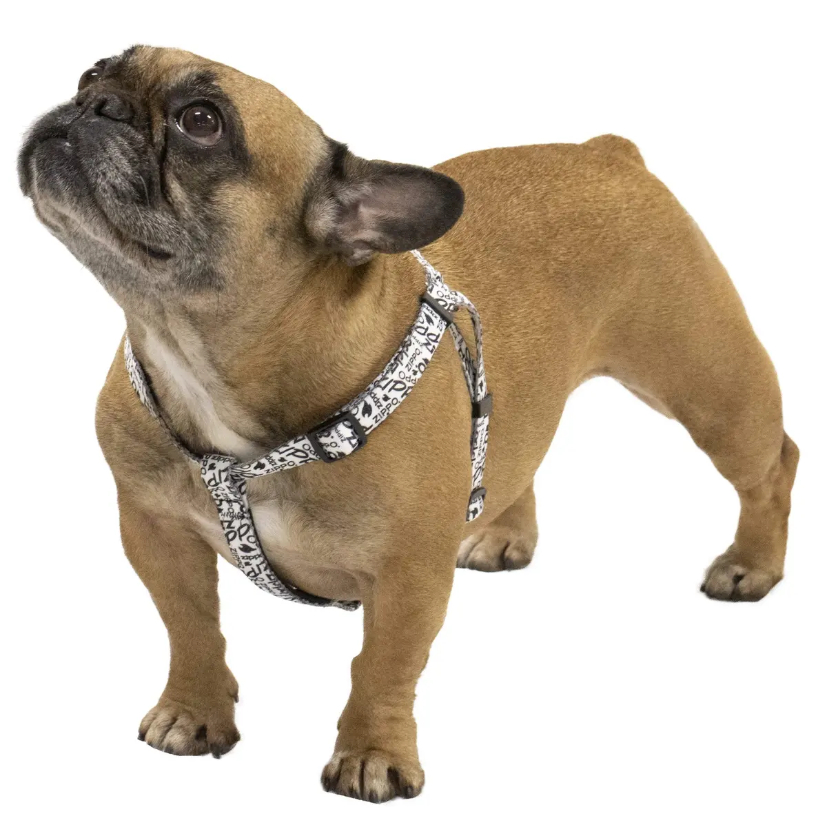 White Nylon Pet Harness 1