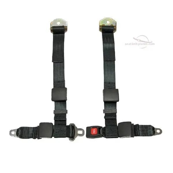 4 Point Pro Touring Harness 1