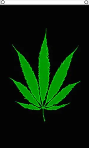 Green Pot Leaf Marijuana (3Ft X 5Ft) Flag 1