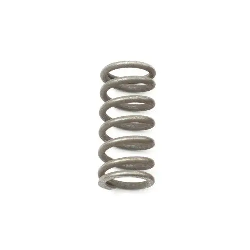 Nos Valve Springs - Cc869449 1