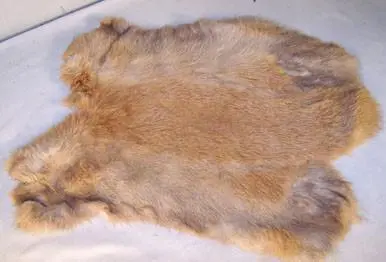 Brown Natural Rabbit Skin Pelt 1