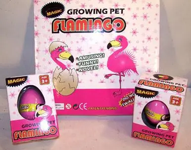 Hatching & Growing Flamingo Eggs 1