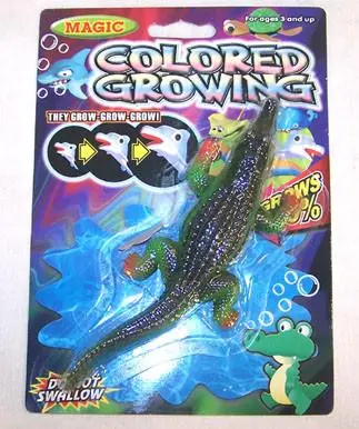 Growing Crocoldile 6 Inch 1